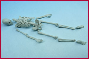 Modular Skeleton 75mm