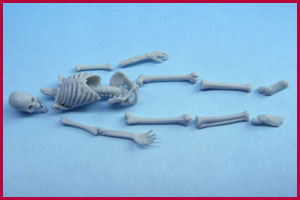 Modular Skeleton 1/35