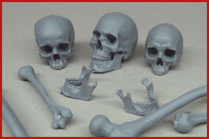 Skulls and Bones – 1/9 – 1/10 scale