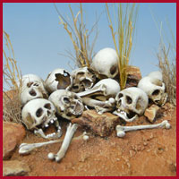 Skulls and Bones 75mm scale